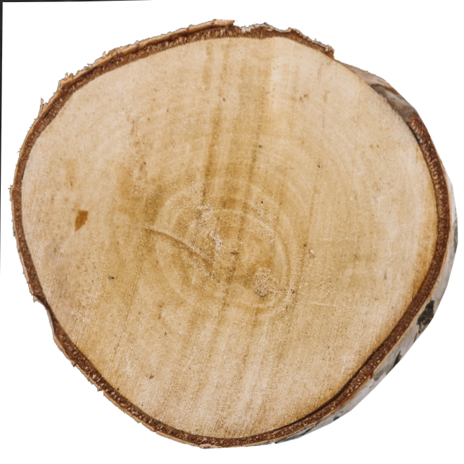 legno-endy